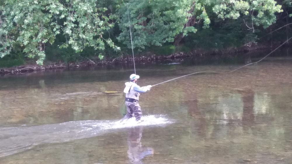 Clasificaci&oacute;n Campeonato Navarro Salm&oacute;nidos Mosca 2017